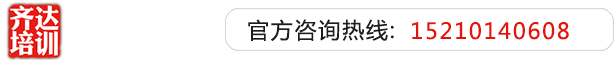 肏屄大鸡巴肏大骚屄齐达艺考文化课-艺术生文化课,艺术类文化课,艺考生文化课logo